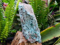 Natural Drusy Coated Chrysocolla Specimens x 2 From Likasi, Congo - Toprock Gemstones and Minerals