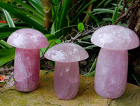 Polished Rose Quartz Mushrooms x 3 From Madagascar - Toprock Gemstones and Minerals