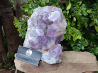Natural Large Jacaranda Amethyst Quartz Cluster x 1 From Mumbwa, Zambia - Toprock Gemstones and Minerals