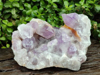 Natural Large Jacaranda Amethyst Quartz Cluster x 1 From Mumbwa, Zambia - Toprock Gemstones and Minerals