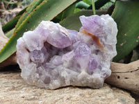Natural Large Jacaranda Amethyst Quartz Cluster x 1 From Mumbwa, Zambia - Toprock Gemstones and Minerals