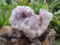 Natural Large Jacaranda Amethyst Quartz Cluster x 1 From Mumbwa, Zambia - Toprock Gemstones and Minerals