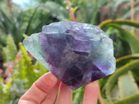 Polished On One Side Watermelon Fluorite Slices x 6 From Uis, Namibia - Toprock Gemstones and Minerals