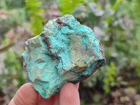 Natural Shattuckite Cobbed Specimens x 24 From Kaokoveld, Namibia - Toprock Gemstones and Minerals