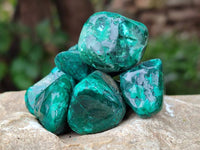 Polished Dioptase Free Forms x 26 From Likasi, Congo - Toprock Gemstones and Minerals