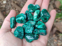Polished Dioptase Free Forms x 26 From Likasi, Congo - Toprock Gemstones and Minerals