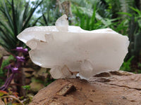 Natural Malagasy Quartz Crystal Clusters x 2 From Madagascar - Toprock Gemstones and Minerals