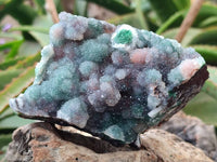 Natural Drusy Ball Malachite On Dolomite Specimens x 3 From Mindingi Mine, Kambove, Congo - Toprock Gemstones and Minerals