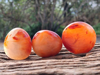Polished Carnelian Agate Gemstone Galets x 20 From Madagascar - Toprock Gemstones and Minerals