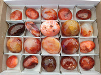 Polished Carnelian Agate Gemstone Galets x 20 From Madagascar - Toprock Gemstones and Minerals