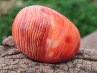 Polished Carnelian Agate Gemstone Galets x 20 From Madagascar - Toprock Gemstones and Minerals