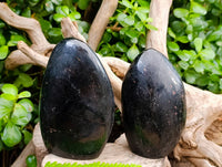 Polished Black Tourmaline Standing Free Forms x 2 From Madagascar - Toprock Gemstones and Minerals