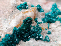 Natural XXL Dioptase On Dolomite Specimen x 1 From Likasi, Congo - Toprock Gemstones and Minerals