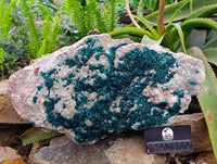 Natural XXL Dioptase On Dolomite Specimen x 1 From Likasi, Congo - Toprock Gemstones and Minerals