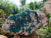 Natural XXL Dioptase On Dolomite Specimen x 1 From Likasi, Congo - Toprock Gemstones and Minerals