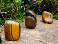 Polished Golden Tiger's Eye Free Forms x 6 From Prieska, South Africa - Toprock Gemstones and Minerals