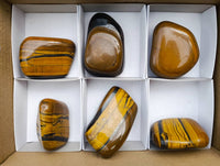 Polished Golden Tiger's Eye Free Forms x 6 From Prieska, South Africa - Toprock Gemstones and Minerals