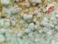 Natural Botryoidal Drusy Coated Chrysocolla Specimens x 2 From Lupoto Mine, Congo - Toprock Gemstones and Minerals