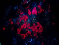 Polished Verdite Standing Free Forms x 2 From Zimbabwe - Toprock Gemstones and Minerals