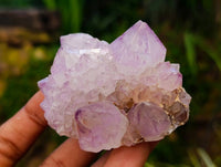 Natural Sunburst Amethyst Spirit Quartz Clusters x 6 From Boekenhouthoek, South Africa - Toprock Gemstones and Minerals