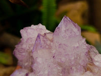 Natural Sunburst Amethyst Spirit Quartz Clusters x 6 From Boekenhouthoek, South Africa - Toprock Gemstones and Minerals