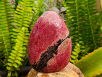 Polished Rhodonite Standing Free Forms x 2 From Ambindavato, Madagascar - Toprock Gemstones and Minerals