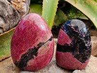 Polished Rhodonite Standing Free Forms x 2 From Ambindavato, Madagascar - Toprock Gemstones and Minerals