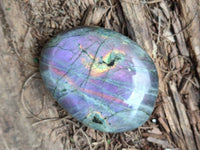 Polished Purple Flash Labradorite Galets x 12 From Tulear, Madagascar - Toprock Gemstones and Minerals
