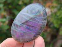 Polished Purple Flash Labradorite Galets x 12 From Tulear, Madagascar - Toprock Gemstones and Minerals