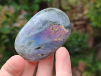 Polished Purple Flash Labradorite Galets x 12 From Tulear, Madagascar - Toprock Gemstones and Minerals
