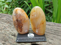 Polished Banded Agate Standing Free Forms x 6 From Madagascar - Toprock Gemstones and Minerals