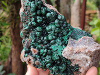Natural Silky Ball Malachite On Dolomite Specimen x 1 From Mindingi Mine, Kambove, Congo - Toprock Gemstones and Minerals