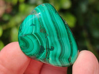 Polished Flower Banded Malachite Free Forms x 35 From Congo - Toprock Gemstones and Minerals
