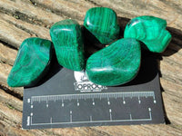 Polished Flower Banded Malachite Free Forms x 35 From Congo - Toprock Gemstones and Minerals