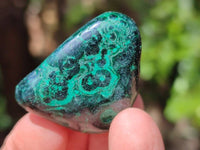 Polished Flower Banded Malachite Free Forms x 35 From Congo - Toprock Gemstones and Minerals