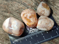 Polished Flower Agate Free Forms x 70 From Antsahalova, Madagascar - Toprock Gemstones and Minerals