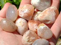 Polished Flower Agate Free Forms x 70 From Antsahalova, Madagascar - Toprock Gemstones and Minerals