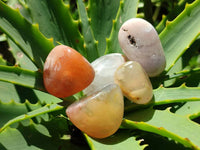 Polished Flower Agate Free Forms x 70 From Antsahalova, Madagascar - Toprock Gemstones and Minerals