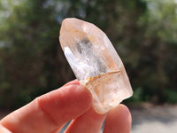 Natural Clear Quartz Single Crystals x 1.74 kg Lot From Mpika, Zambia - Toprock Gemstones and Minerals