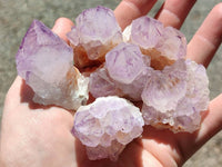 Natural Small Sunburst Cactus Flower Amethyst Spirit Clusters x 35 From South Africa - Toprock Gemstones and Minerals