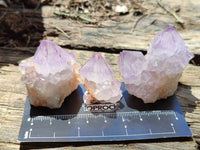 Natural Small Sunburst Cactus Flower Amethyst Spirit Clusters x 35 From South Africa - Toprock Gemstones and Minerals