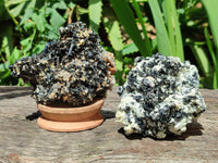 Natural Schorl Black Tourmaline with Vermiculite x 6 From Erongo, Namibia - Toprock Gemstones and Minerals