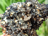 Natural Schorl Black Tourmaline with Vermiculite x 6 From Erongo, Namibia - Toprock Gemstones and Minerals