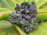 Natural Schorl Black Tourmaline with Vermiculite x 6 From Erongo, Namibia - Toprock Gemstones and Minerals