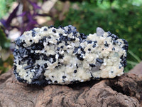 Natural Schorl Black Tourmaline with Vermiculite x 6 From Erongo, Namibia - Toprock Gemstones and Minerals