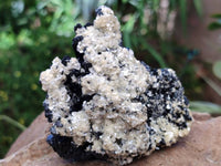 Natural Schorl Black Tourmaline with Vermiculite x 6 From Erongo, Namibia - Toprock Gemstones and Minerals