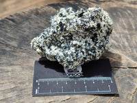 Natural Schorl Black Tourmaline with Vermiculite x 6 From Erongo, Namibia - Toprock Gemstones and Minerals