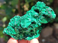 Natural Silky Malachite Specimens x 6 From Kasompe, Congo - Toprock Gemstones and Minerals