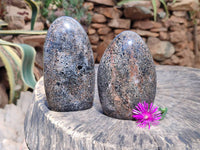 Polished Black Tourmaline In Matrix Standing Free Forms x 2 From Madagascar - Toprock Gemstones and Minerals
