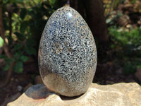 Polished Black Tourmaline In Matrix Standing Free Forms x 2 From Madagascar - Toprock Gemstones and Minerals